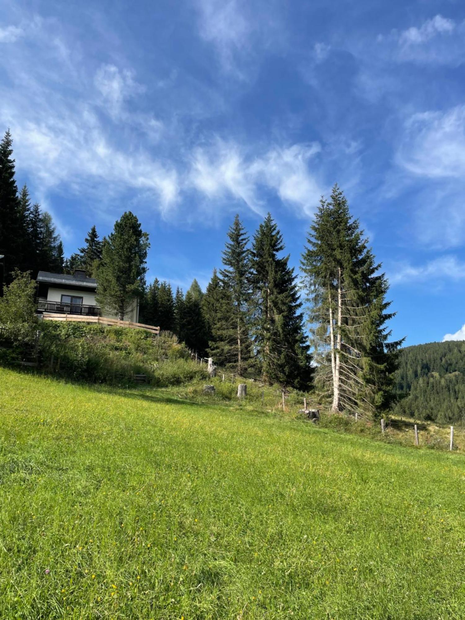Lalo Alm - Berge Erleben Villa Lachtal Dış mekan fotoğraf